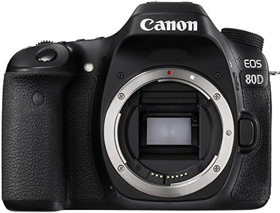 Zoomed in view of canon EOS D camera