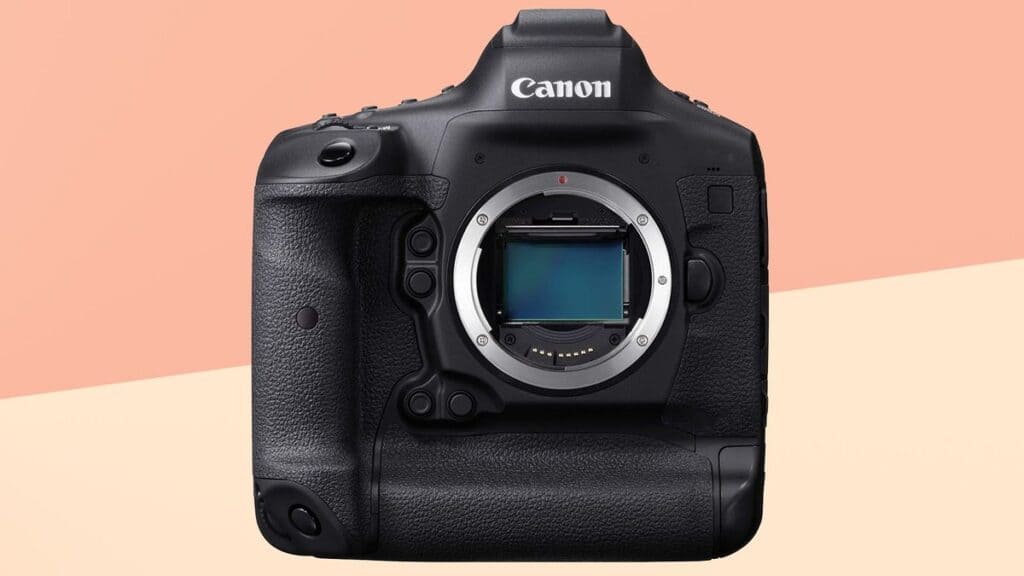 zoomed in picture of canon EOS R1