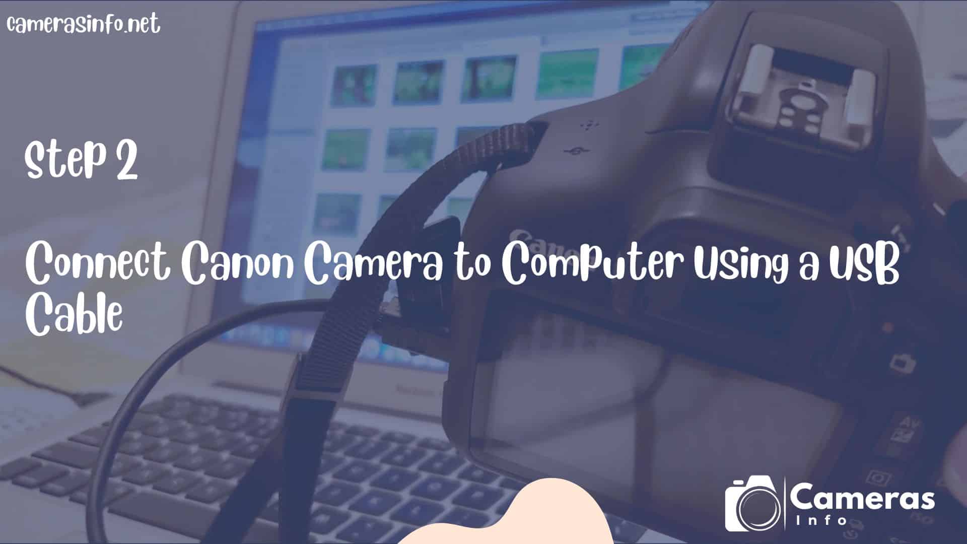 Connect Canon Camera to Computer Using a USB Cable 