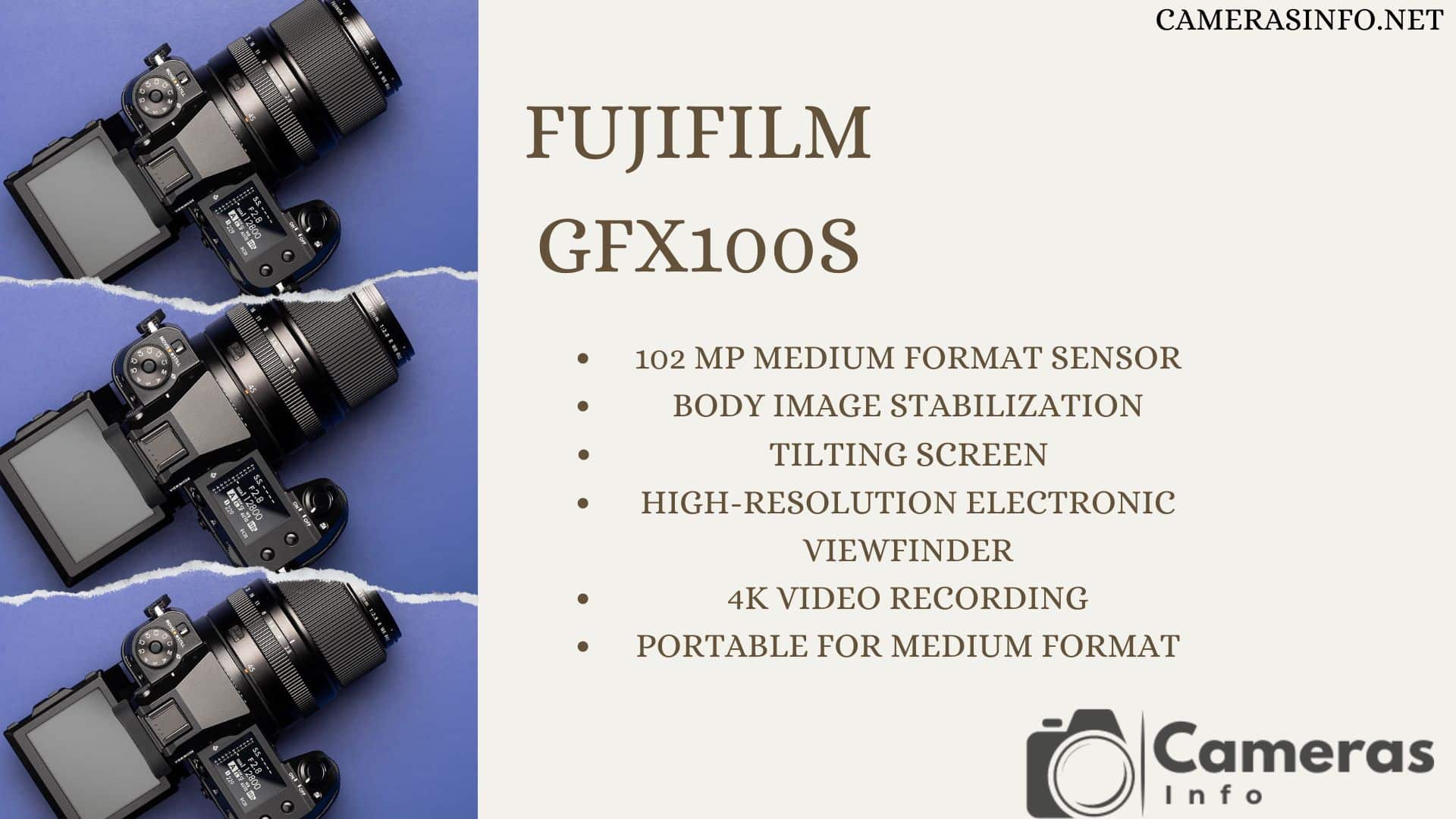 Fujifilm GFX S lead e