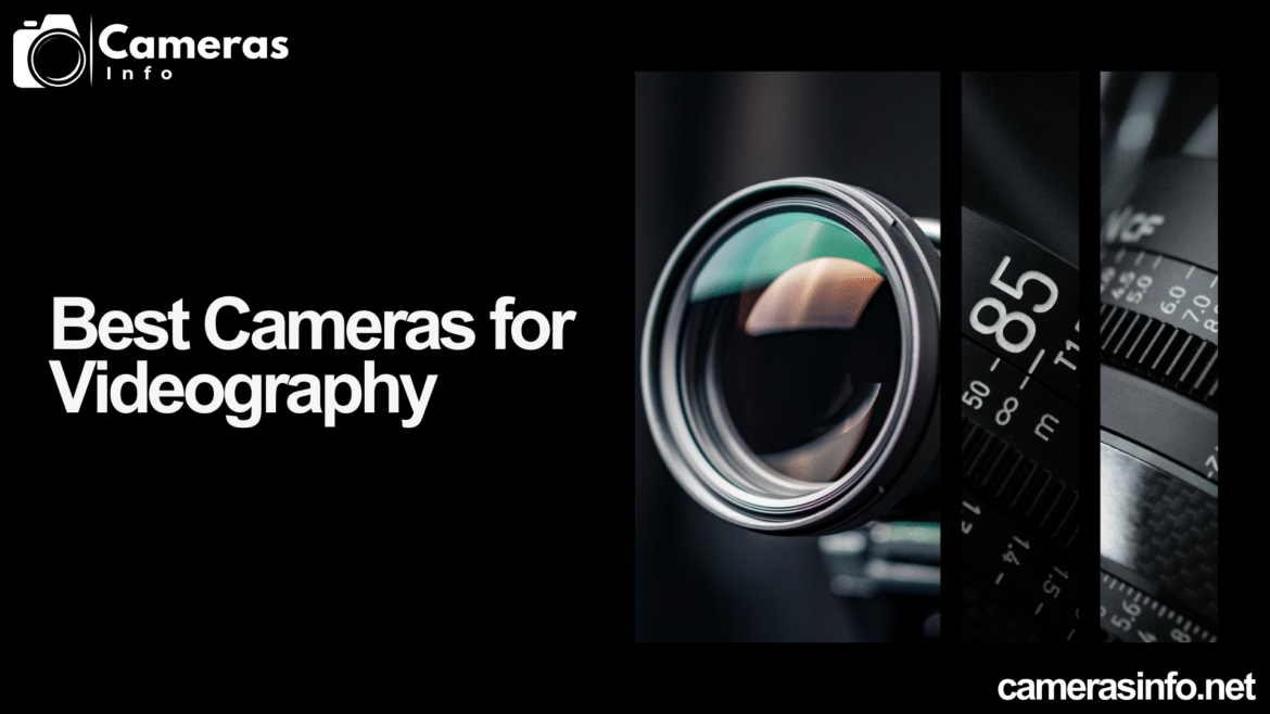 best cameras for videography guide