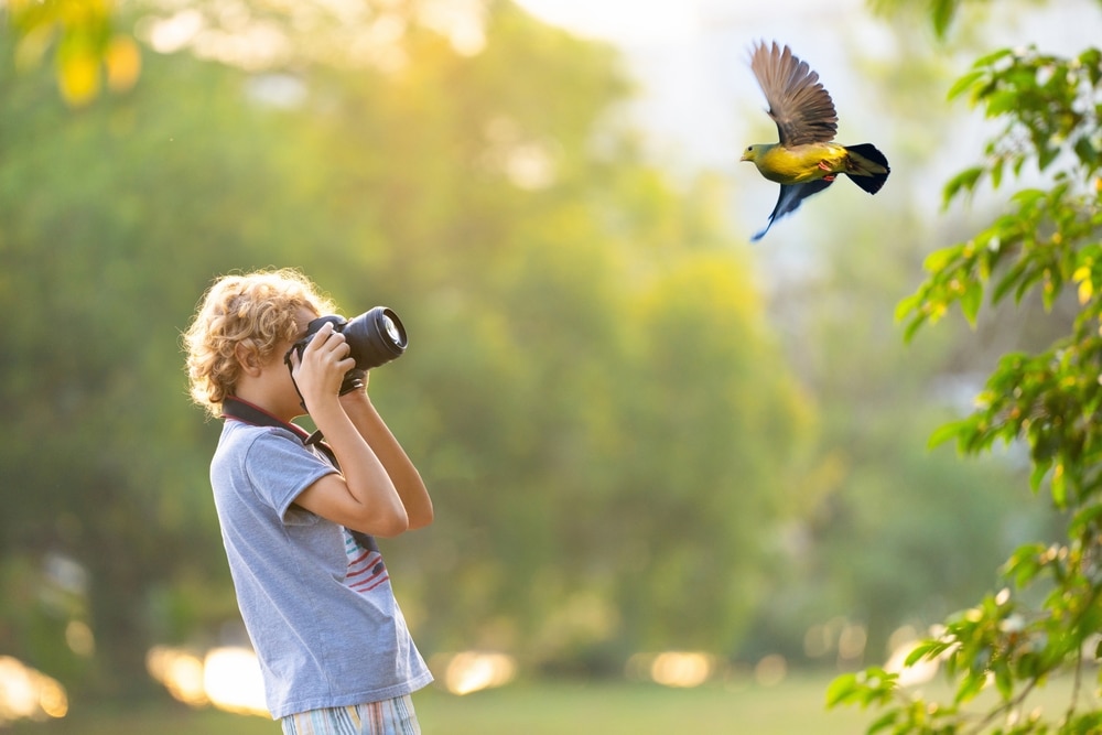 A view of a child taking photo of a bird