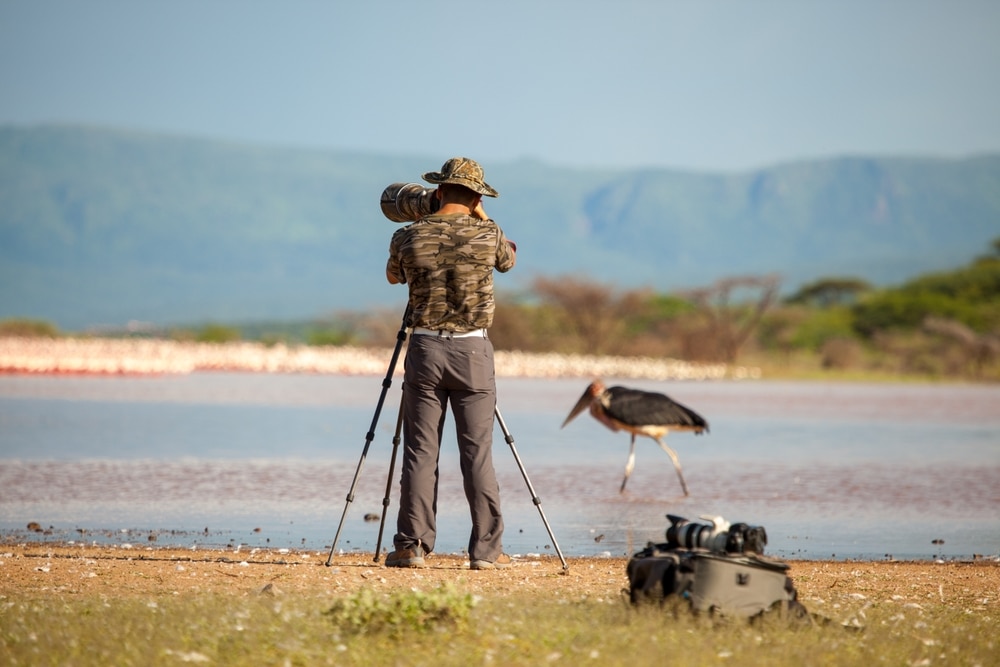 A view of a photographer capturing the wildlife by the sea